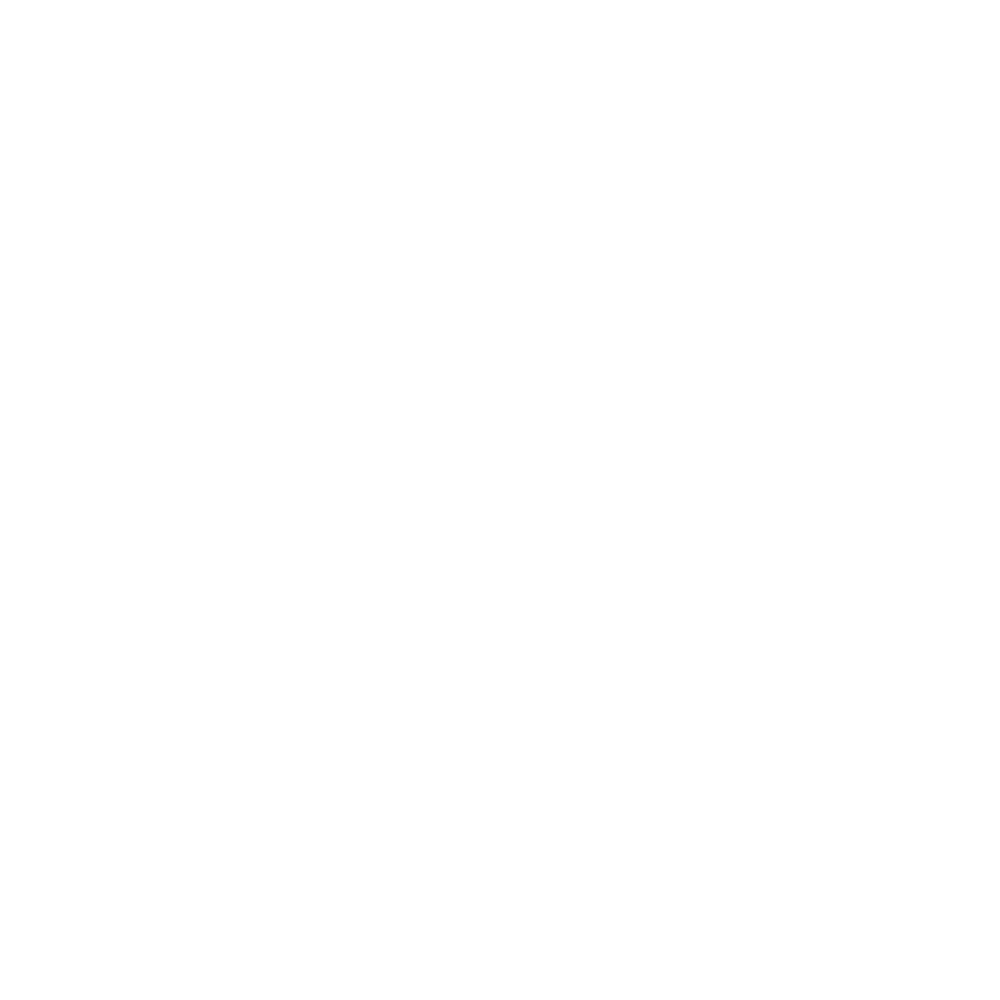 CLASSIC WHITE DECAL Florida Cracker Style