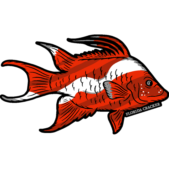 HOGFISH DIVE DECAL