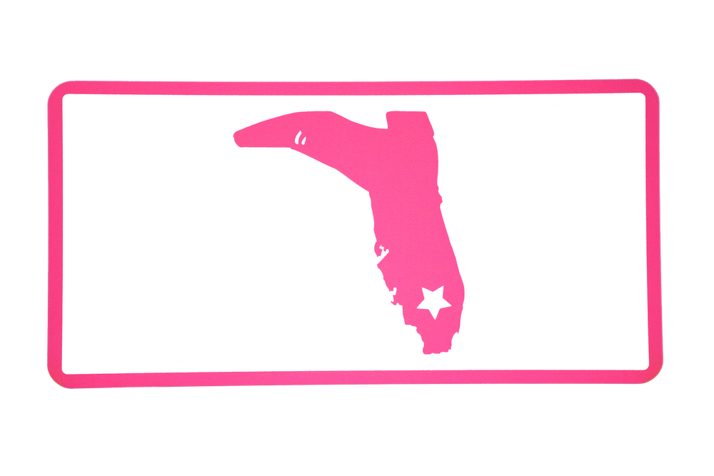 PINK/WHITE LICENSE PLATE