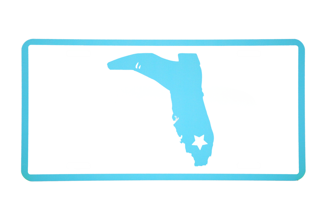 TEAL/WHITE LICENSE PLATE