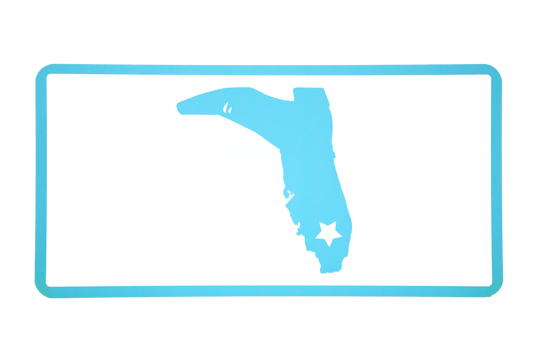 TEAL/WHITE LICENSE PLATE