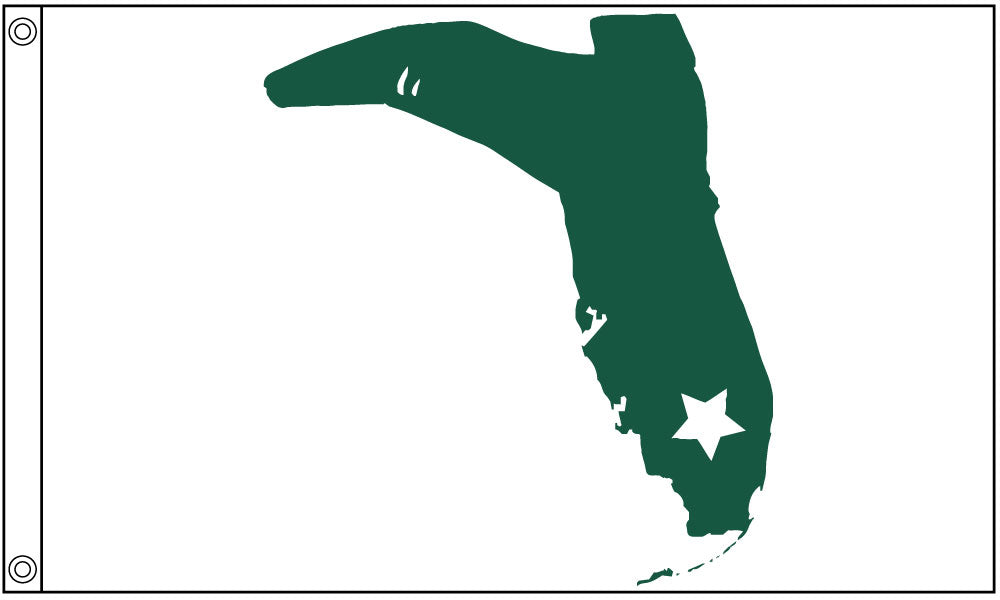 Mappa Dello Stato Della Florida - Immagini Vettoriali Stock E Altre Immagini Di Bandiera Degli - Foto 12
