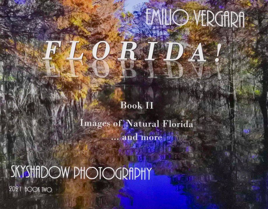FLORIDA! BOOK II